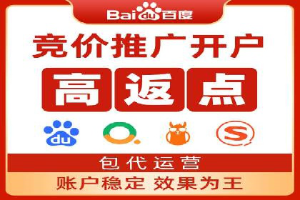 竞价排名关键词优化实战案例分析